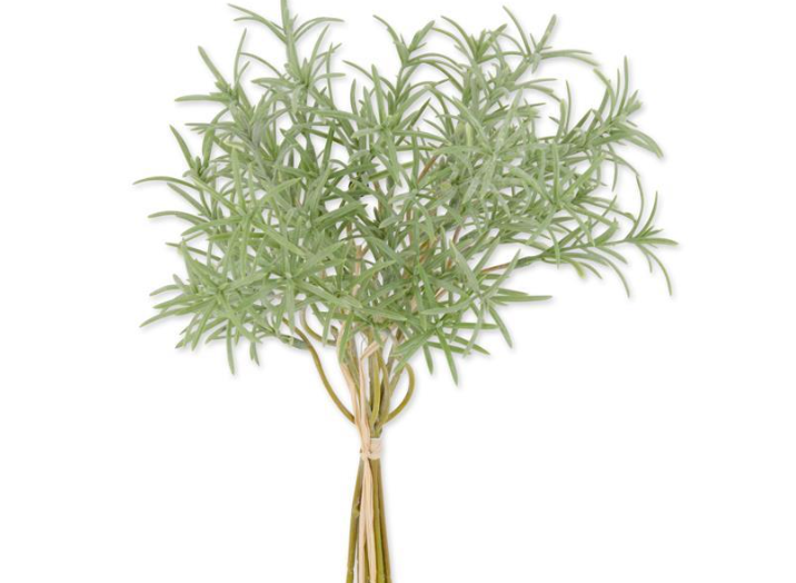 13" Rosemary Bundle