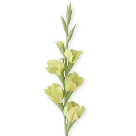 Real Touch Gladiolus