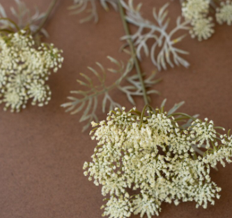 Lace Flower Spray
