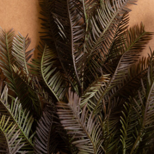 Dark Fir Spray