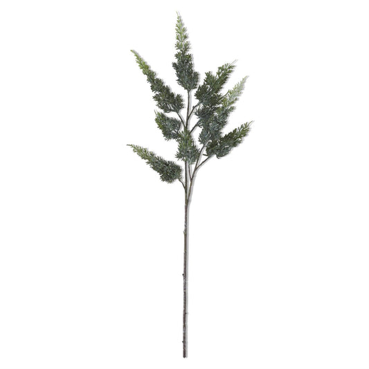 34" Cypress Pine Stem