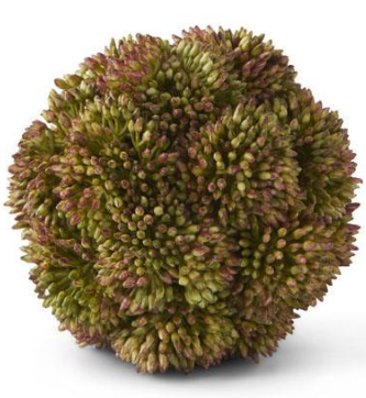 4" Dark Green Sedum Ball