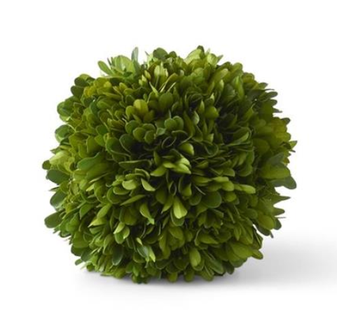 4" Preserved Boxwood Ball