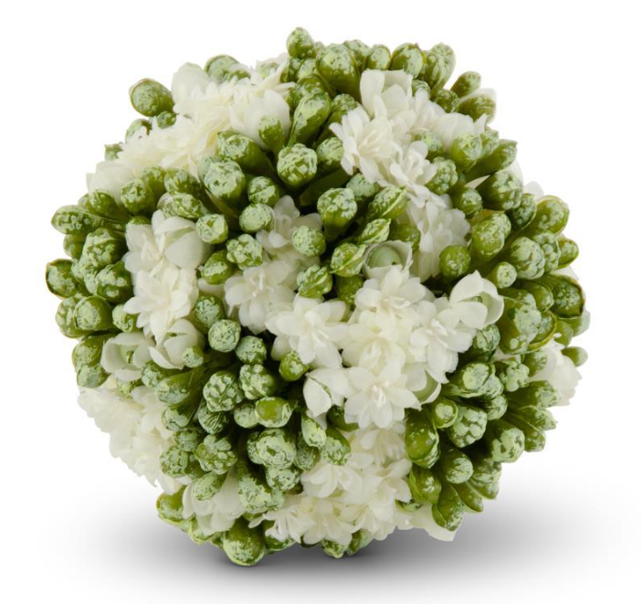 4" White Kalanchoe Ball