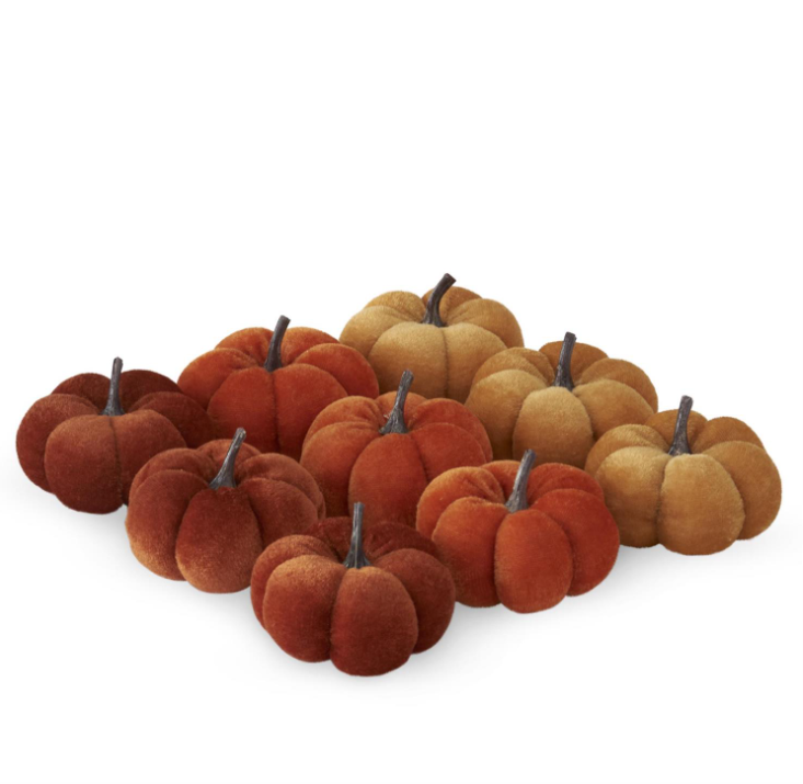 Velvet Mini Pumpkin - 3 Colors