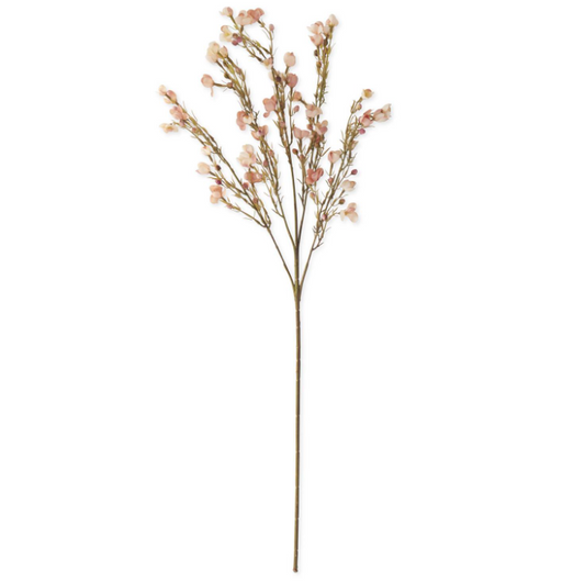 White Chamelaucium Spray