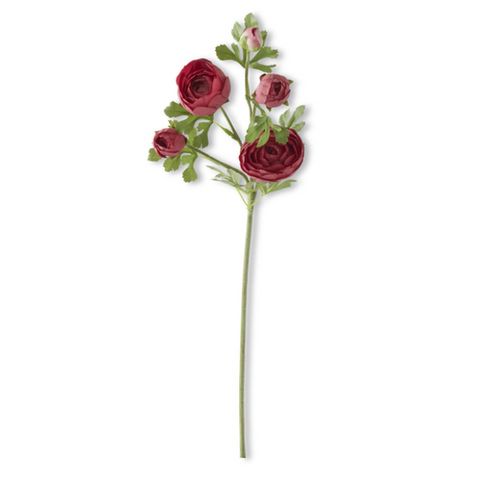 Burgundy Real Touch Ranunculus