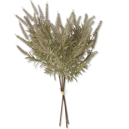 Light Green Lavender Bundle