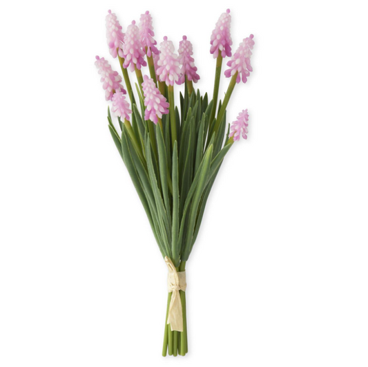 Dark Pink Grape Hyacinth Bundle