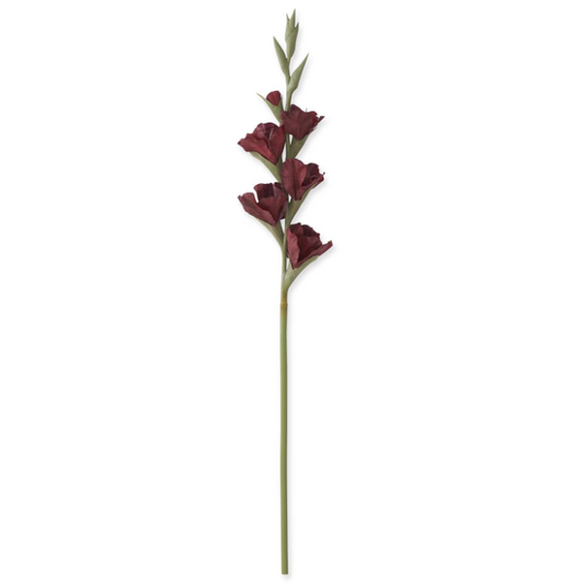 Burgundy Real Touch Gladiolus