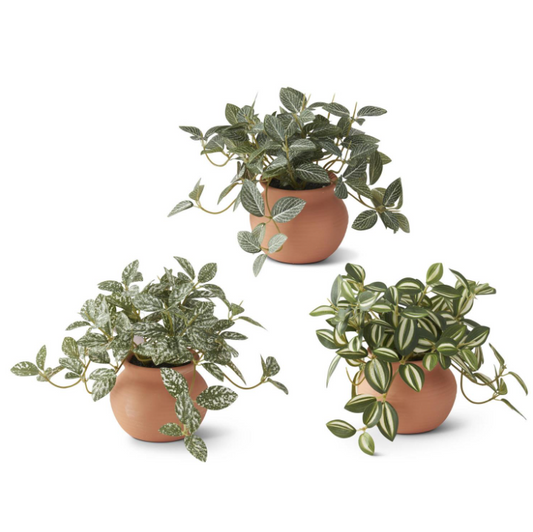 Ceramic Potted Plant - 3 STYLES