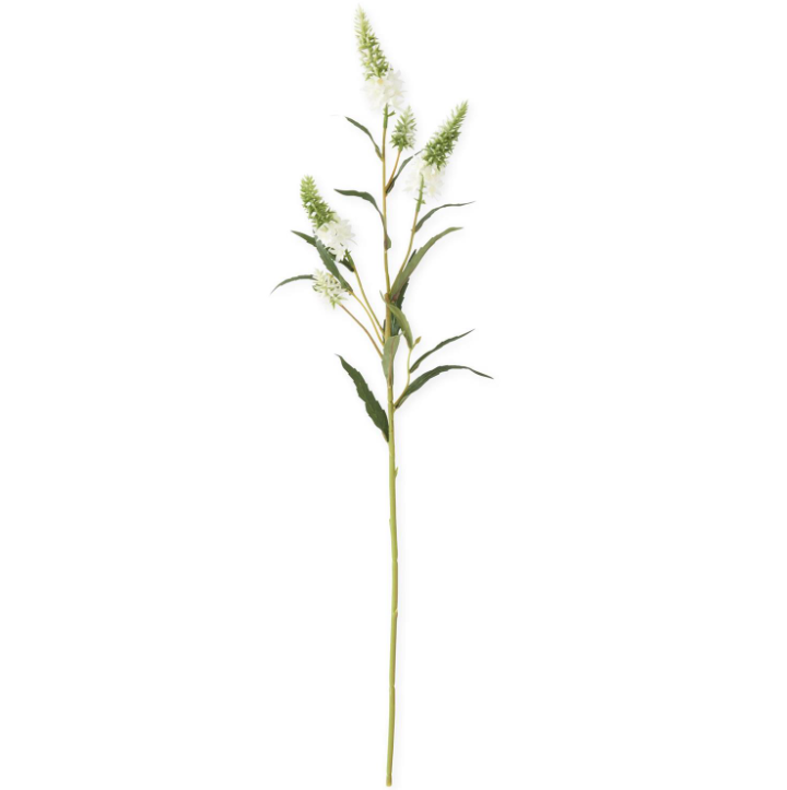 White Pineapple Lily Stem