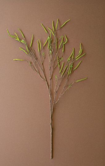 Green Willow Flowers Spray