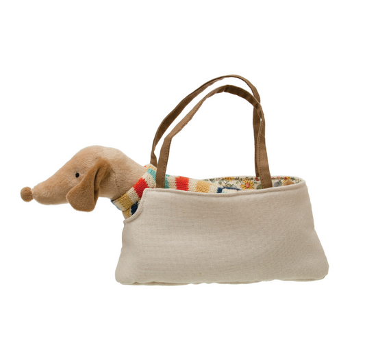 Dachshund in Sweater w/ Carrier