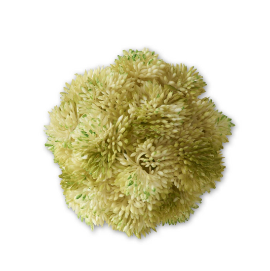 Light Green Sedum Ball
