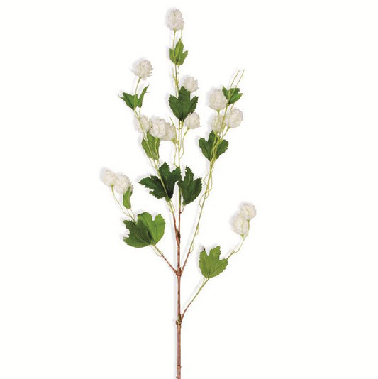 Cream Hops Stem