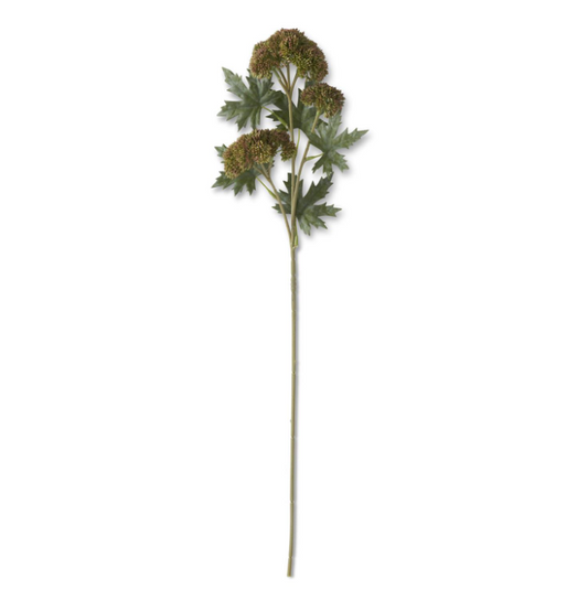 Dark Green Sedum Stem