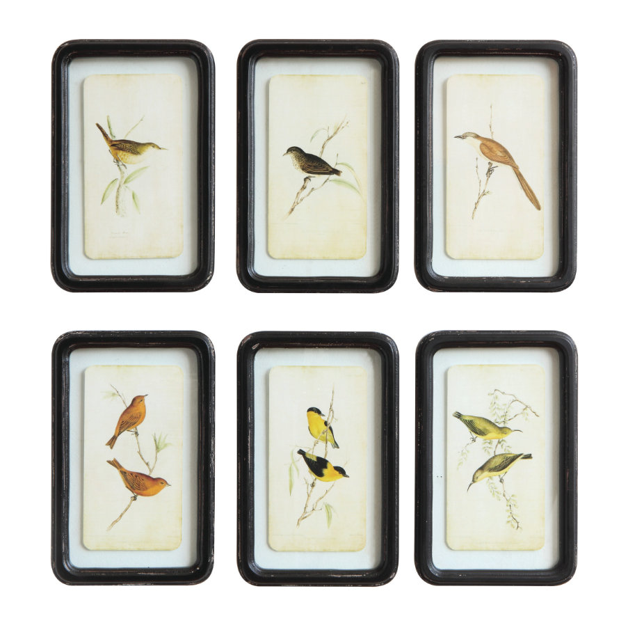 Distressed Frame w/ Bird - 6 STYLES