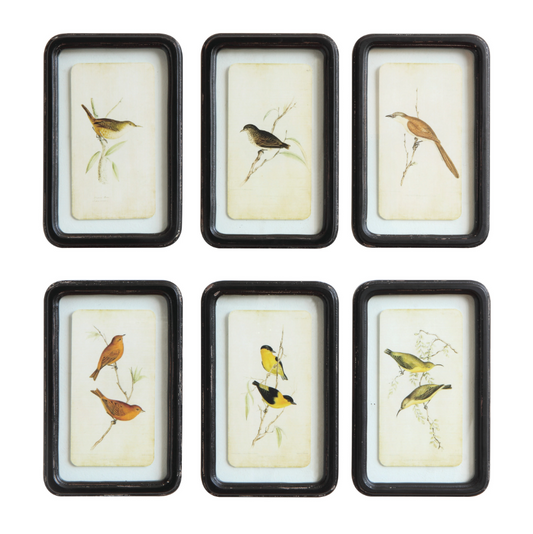 Distressed Frame w/ Bird - 6 STYLES