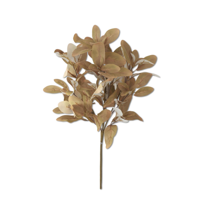 Laurel Bush