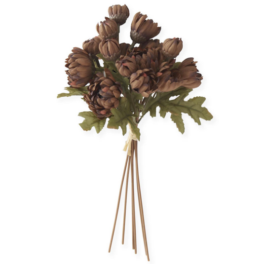 Brown Dahlia Bundle