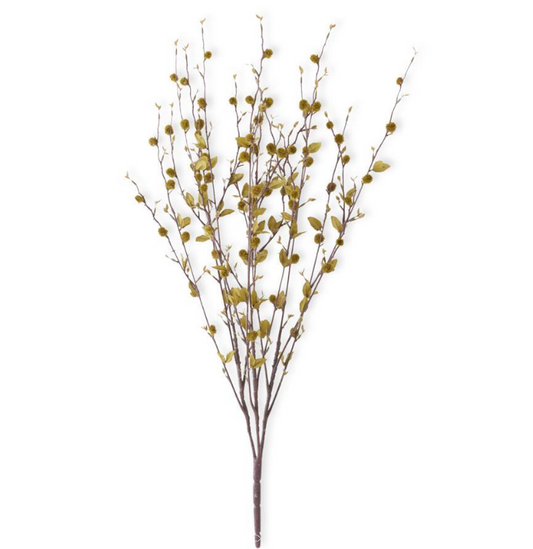 Green Pussy Willow Spray