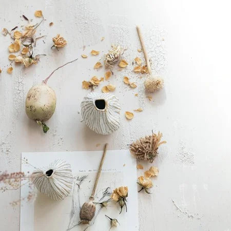ORGANIC SHAPE VASES